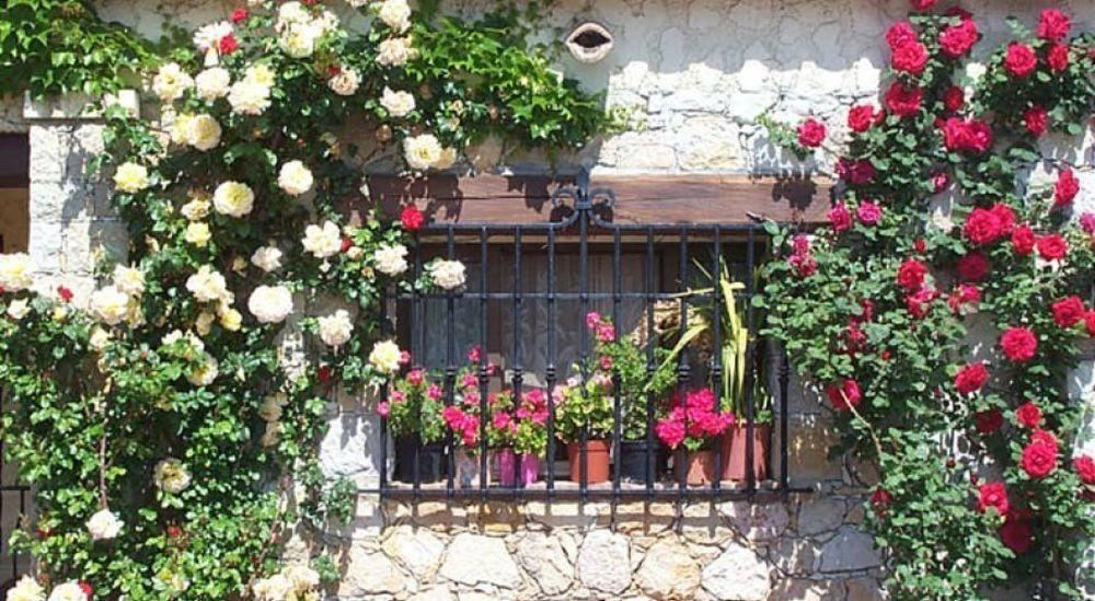Castel Garoupe Hotel Antibes Luaran gambar